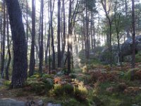 2016-10-09 Les gorges d Apremont 0020